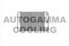 AUTOGAMMA 102455 Heat Exchanger, interior heating